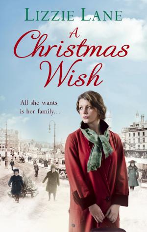 Cover of the book A Christmas Wish by Anne Mustoe