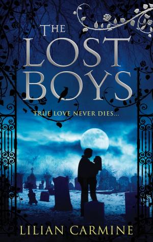 Cover of the book The Lost Boys by Leonie Martel