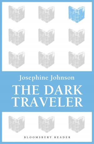Cover of the book The Dark Traveler by Andrew Rosenheim