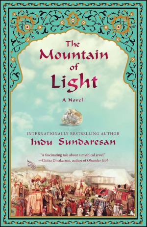 Cover of the book The Mountain of Light by Jonathan Nasaw