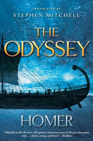 Cover of the book The Odyssey by Elise Strachan
