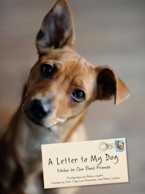 Cover of the book A Letter to My Dog by Ann Shen