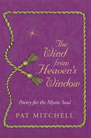 bigCover of the book The Wind from Heaven's Window by 