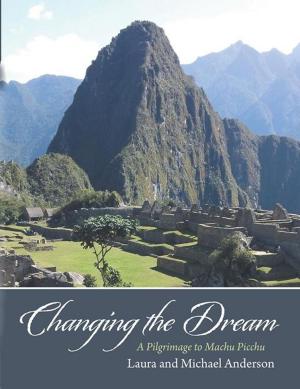 Book cover of Changing the Dream