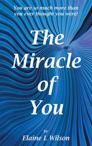 Cover of the book The Miracle of You by Terry J. Walker MA