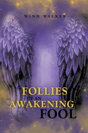 Cover of the book Follies of an Awakening Fool by T.E. Corner