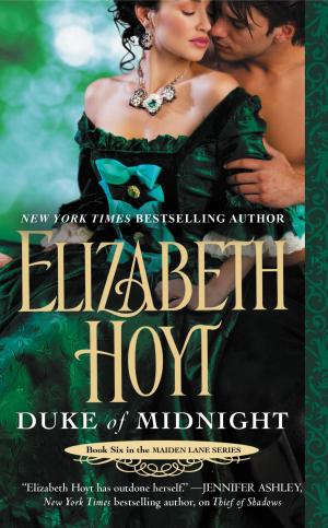 Cover of the book Duke of Midnight by Harold Dieterle, Andrew Friedman