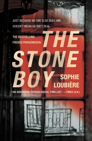 Cover of the book The Stone Boy by Katee Robert