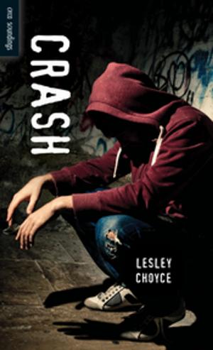 Cover of the book Crash by Sarah N. Harvey, Kasia Charko