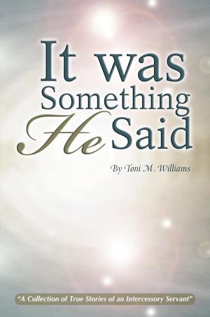 Cover of the book It Was Something He Said by Shirley Thrush, Jerry Thrush