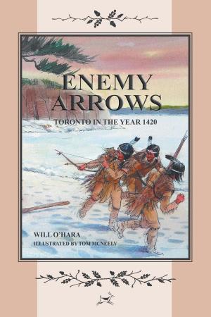 Cover of the book ENEMY ARROWS by Robert A. Bonner