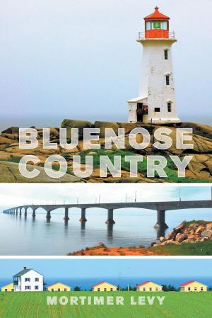 Cover of the book Bluenose Country by Nigel Hyatt