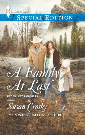 bigCover of the book A Family, At Last by 