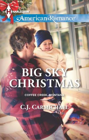 Book cover of Big Sky Christmas