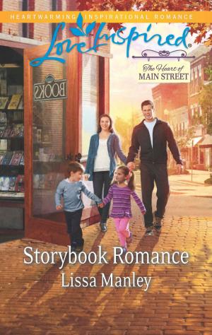 Cover of the book Storybook Romance by Katie Meyer