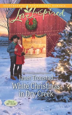 Cover of the book White Christmas in Dry Creek by B.J. Daniels