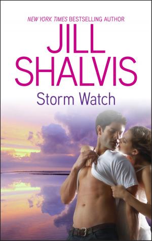 bigCover of the book Storm Watch by 