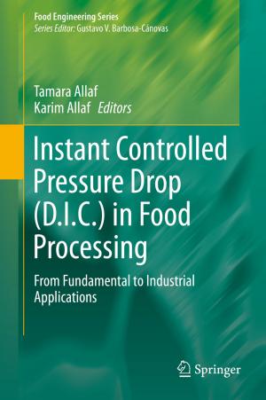 Cover of the book Instant Controlled Pressure Drop (D.I.C.) in Food Processing by 