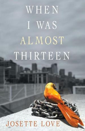 Cover of the book When I Was Almost Thirteen by Ethel McMilin