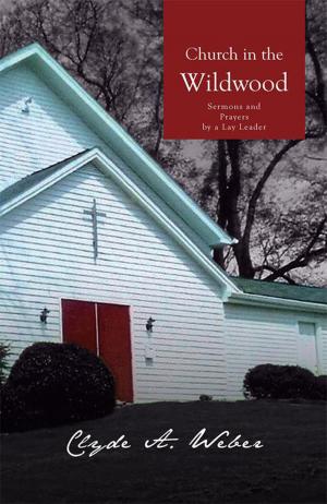 Cover of the book Church in the Wildwood by T. O. Stallings