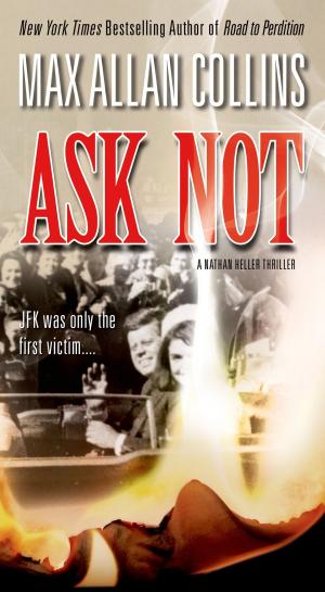 Cover of the book Ask Not by Anne M. Pillsworth