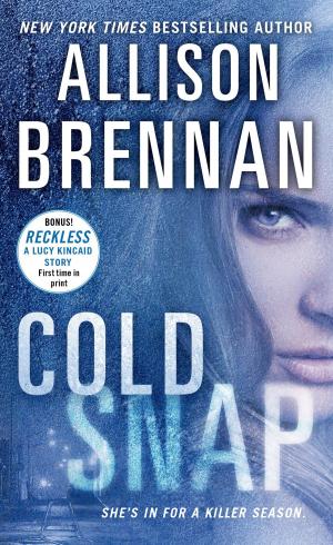 Cover of the book Cold Snap by Jennifer Crusie, Anne Stuart