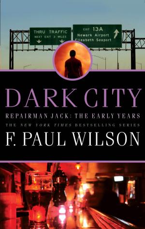 Cover of the book Dark City by David Hagberg