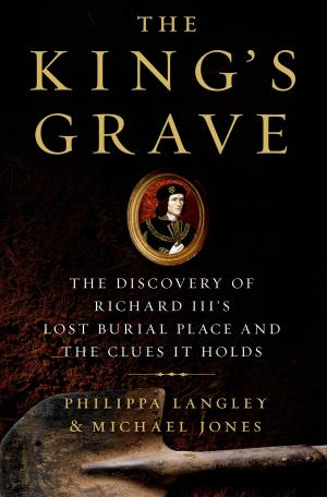 Book cover of The King's Grave