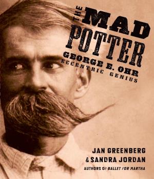 Book cover of The Mad Potter