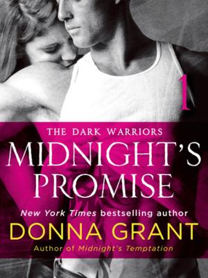 Cover of the book Midnight's Promise: Part 1 by Opal Carew