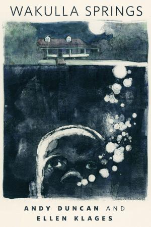 Cover of the book Wakulla Springs by David Hernandez