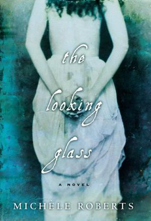 bigCover of the book The Looking Glass by 