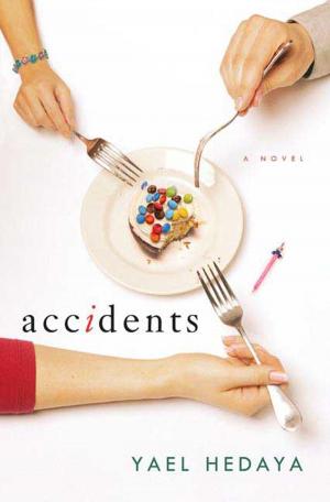 Cover of the book Accidents by Noam Chomsky, David Barsamian