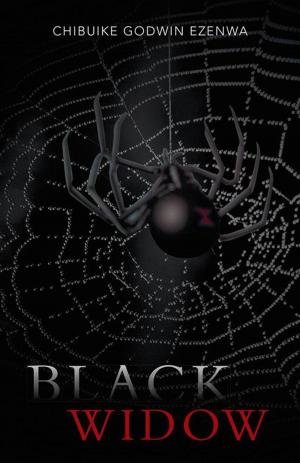 Cover of the book Black Widow by Austin Johnson