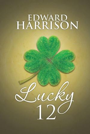 Cover of the book Lucky 12 by Karin Banerd