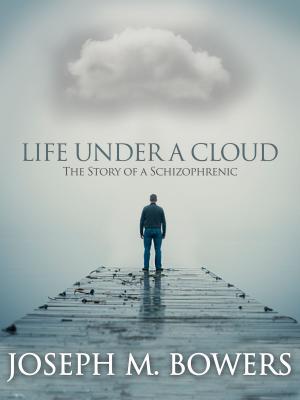 Cover of the book Life Under a Cloud by Nancy A Kaiser