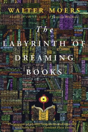 bigCover of the book Labyrinth of Dreaming Books by 