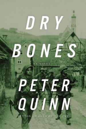 Cover of the book Dry Bones by Peter Rock