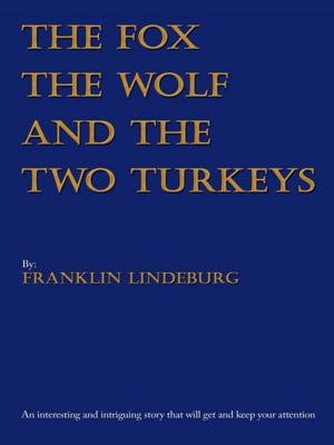 Cover of the book The Fox the Wolf & the Two Turkeys by Art Graham