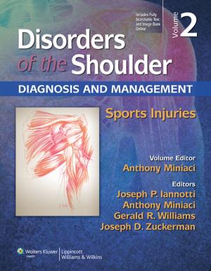 Cover of the book Disorders of the Shoulder: Sports Injuries by Piet de Boer, Christian van der Werken, Steven J Morgan