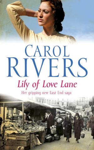 Book cover of Lily of Love Lane