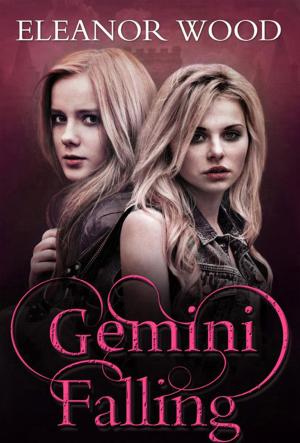 Cover of the book Gemini Falling by Chris Blake