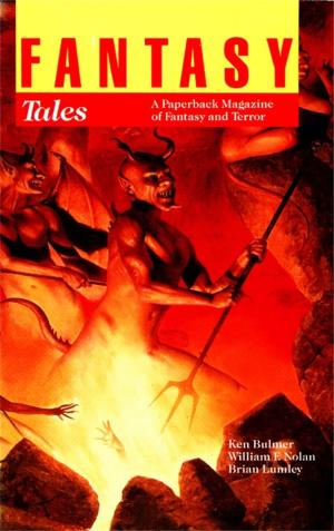 Book cover of Fantasy Tales 2