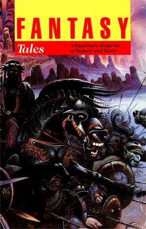 Cover of the book Fantasy Tales 1 by Jon E. Lewis