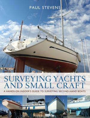Cover of the book Surveying Yachts and Small Craft by William Saroyan