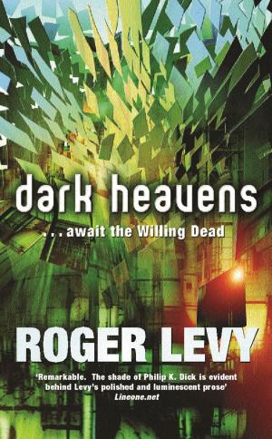 Cover of the book Dark Heavens by Megan DeVos