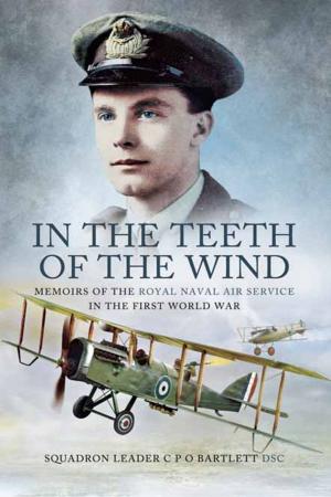 Book cover of In the Teeth of the Wind