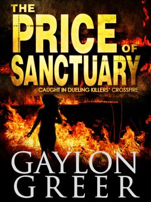 Book cover of The Price of Sanctuary