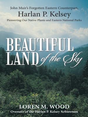 bigCover of the book Beautiful Land of the Sky by 