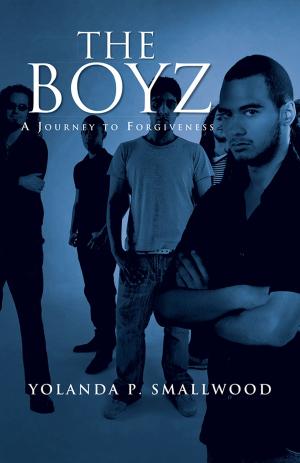 bigCover of the book The Boyz by 
